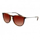 RAY-BAN-4171-Erika-Habana-marrón-degradado