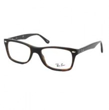 Ray-Ban-RX5228-2012-carey